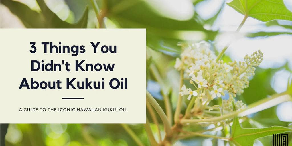 3 Things You Didn't Know About Kukui Oil