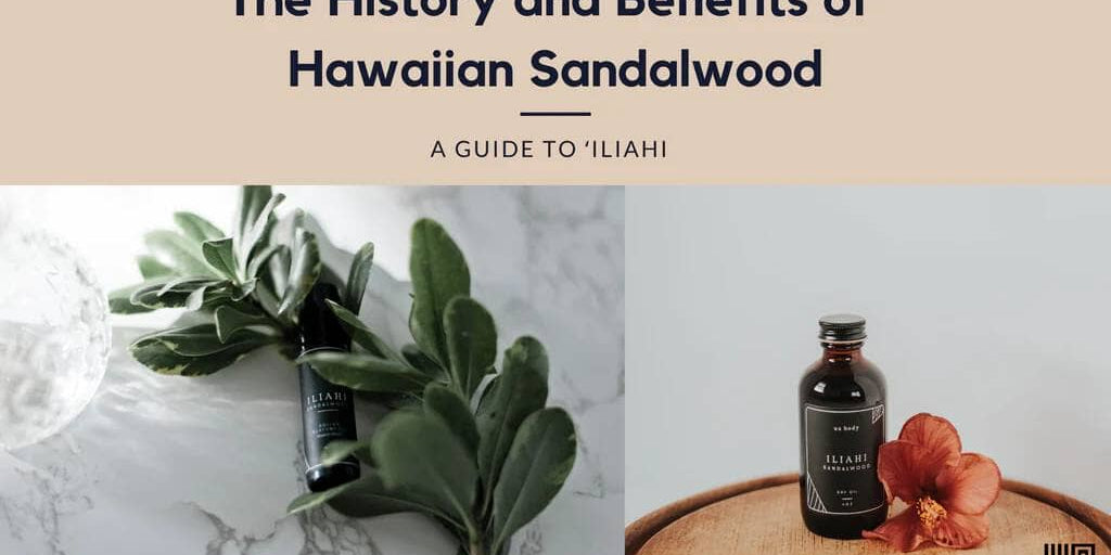 The History and Benefits of Hawaiian Sandalwood