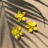 Pakalana Hand & Body Wash